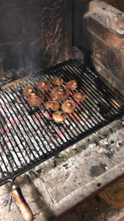 Cal Barral Villa Ansobell Bagian luar foto